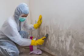 Best Mold Remediation for Healthcare Facilities in Puyallup, WA